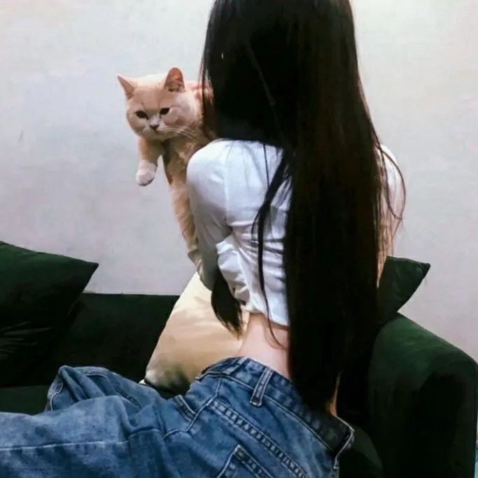 铁耙